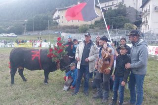 "Reinun" remporte le combat de reines de l'Espace Mont-Blanc